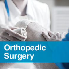Apex Orthopedics